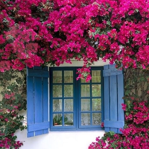 ابومحمد التميمي