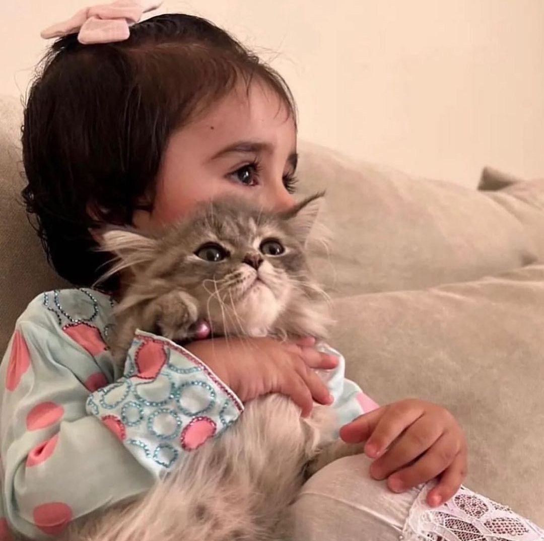 نبيله الناشري