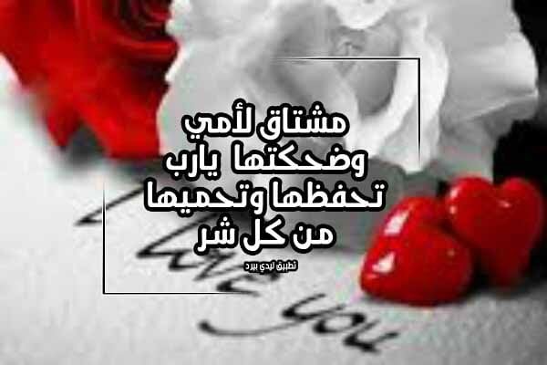 Mohammed Hassan