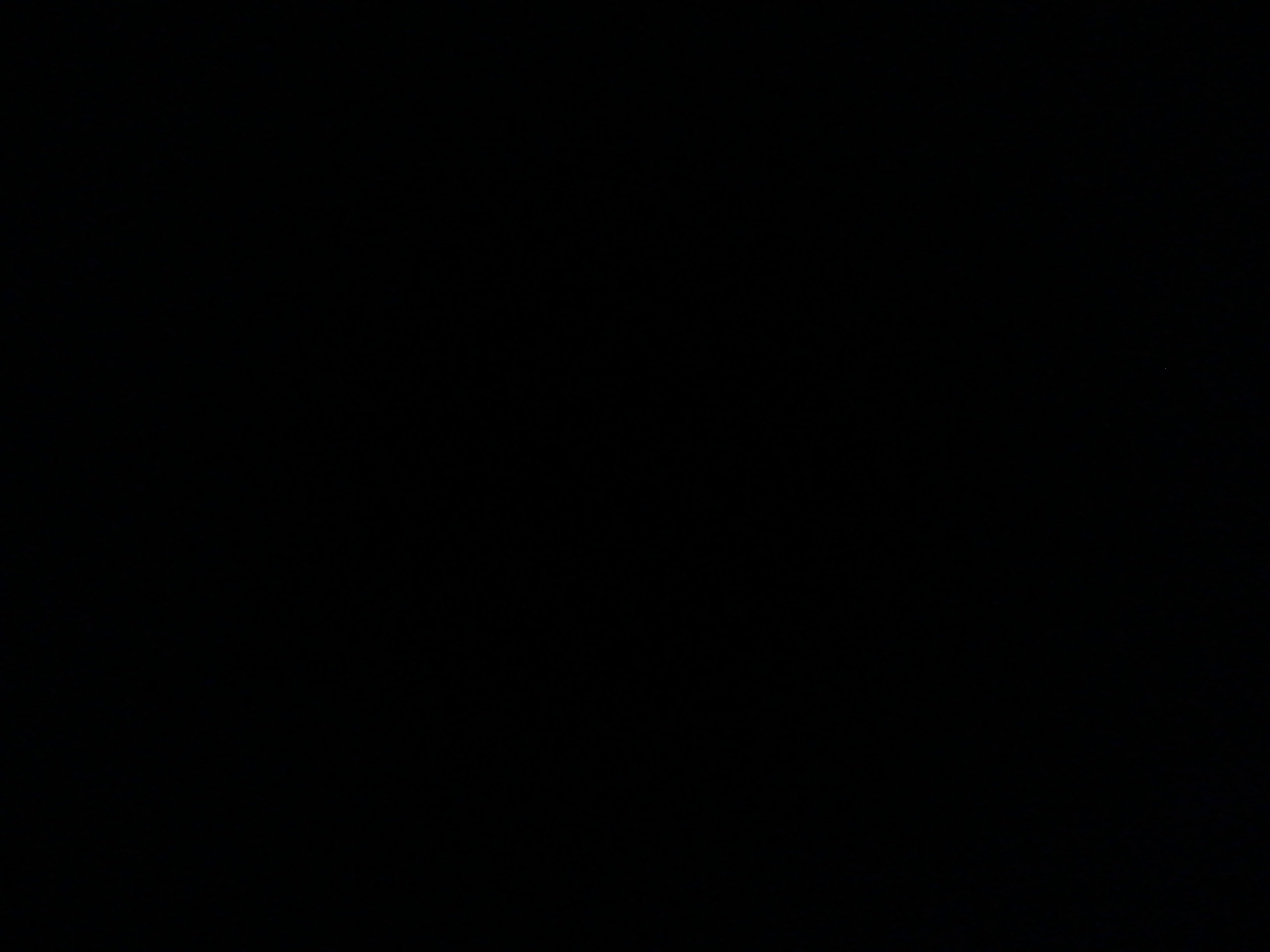 عمار الغامدي