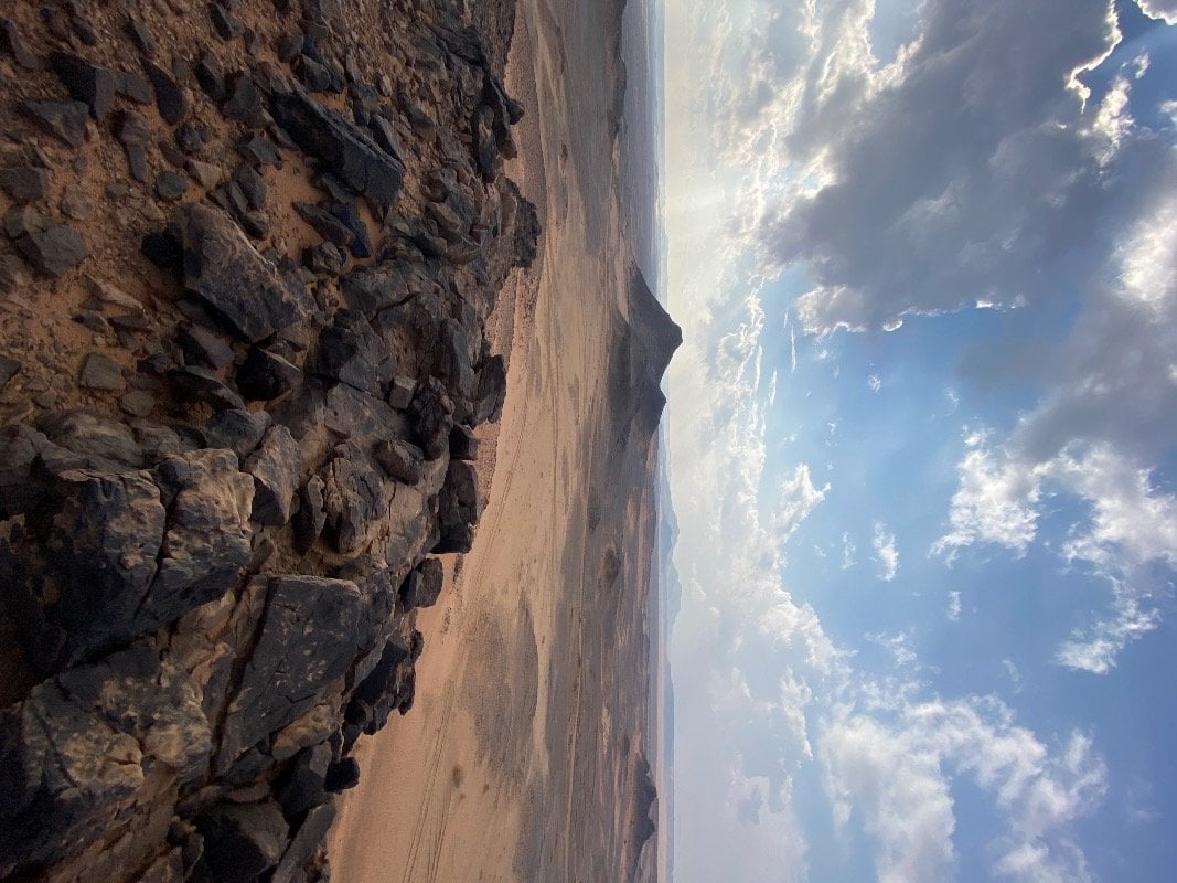 حسن علي عريشي