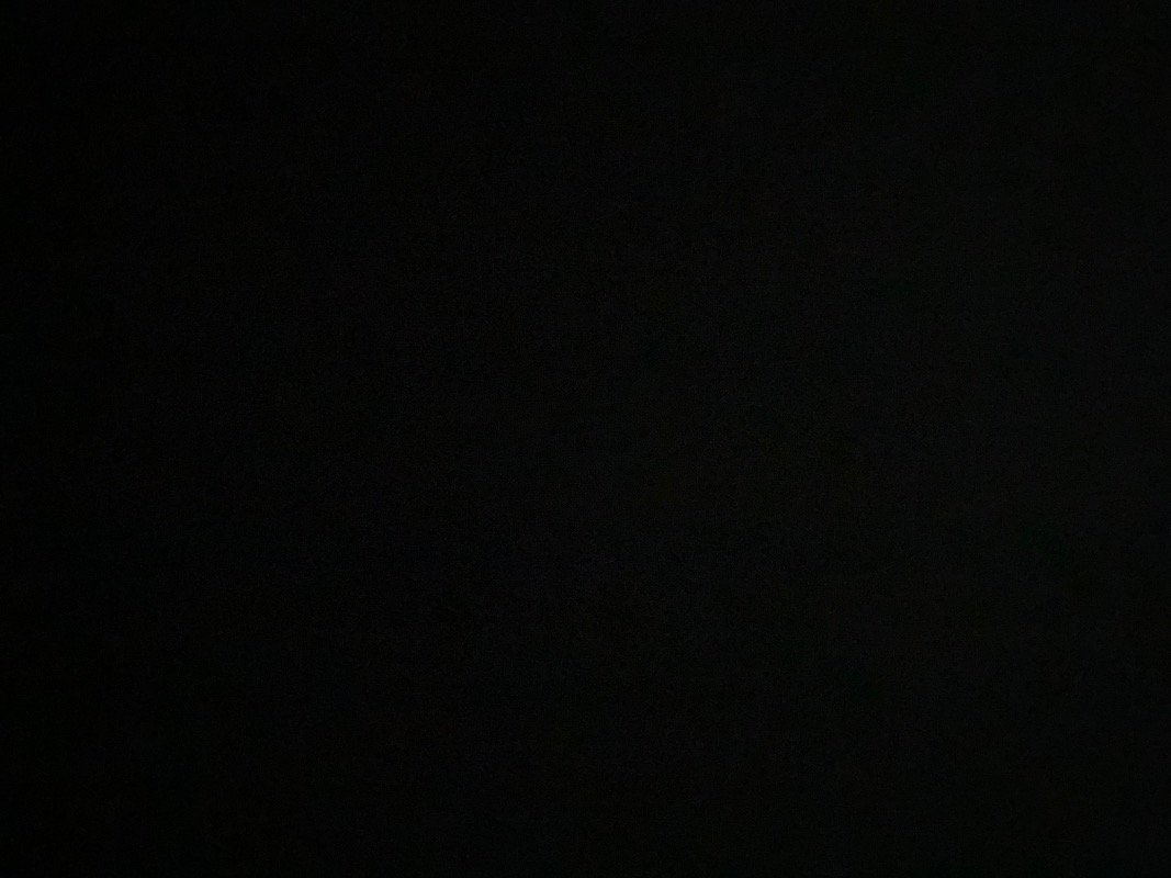 ليلى الحربي
