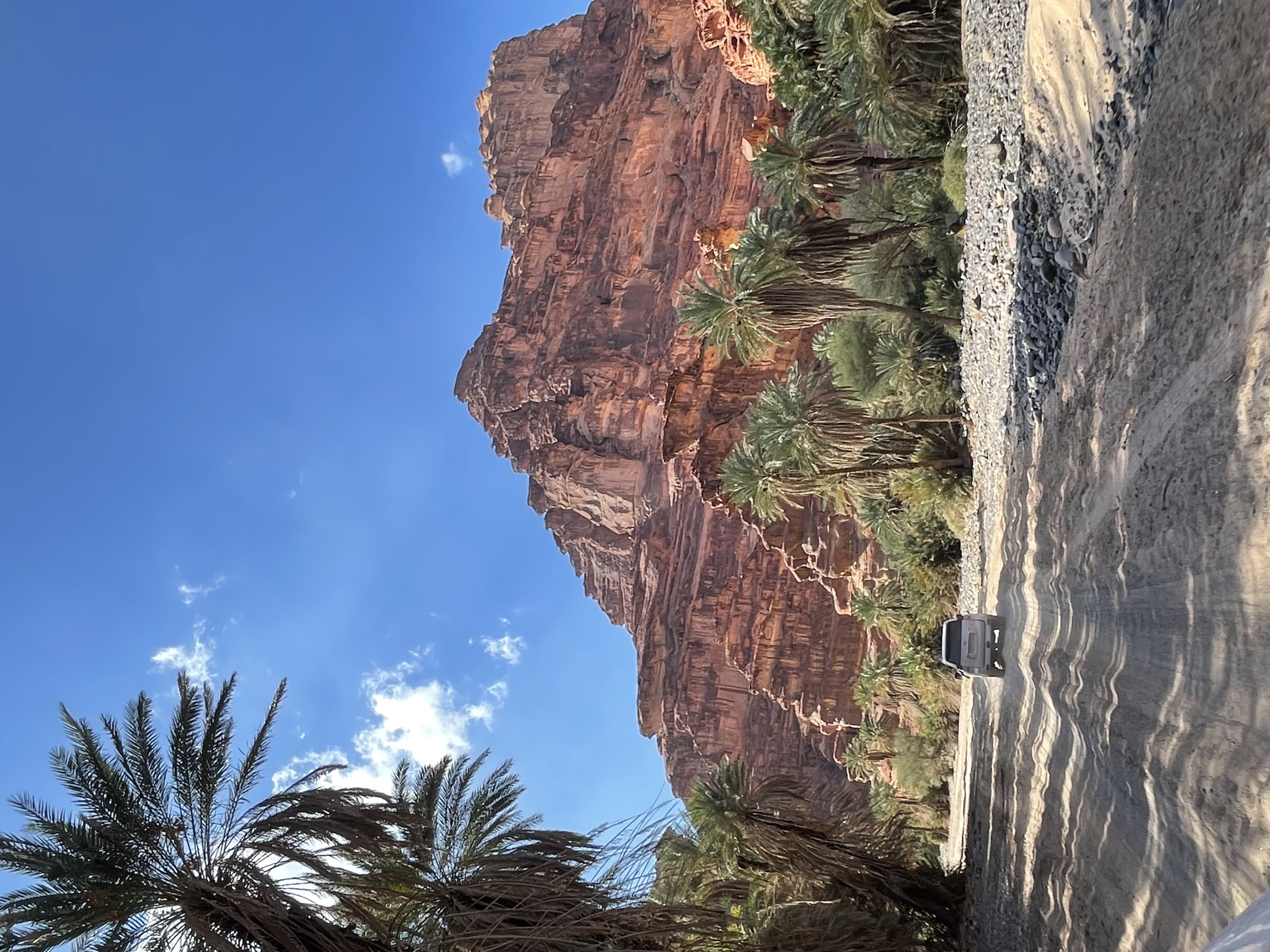 نجاح العتيبي