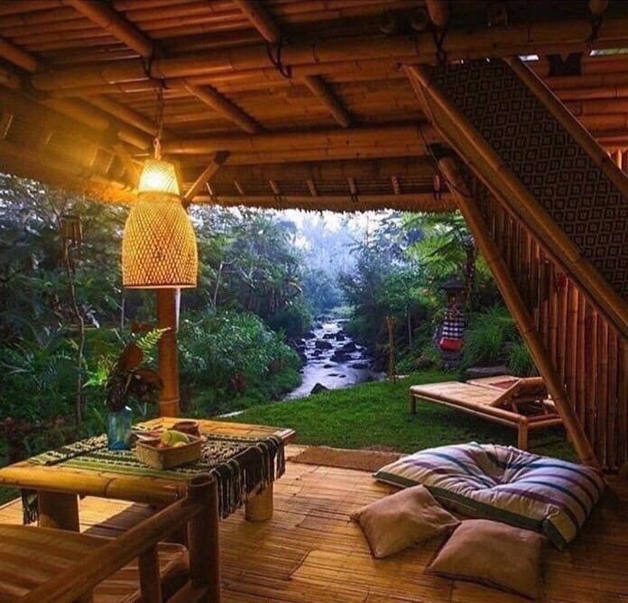 احمد الحسني