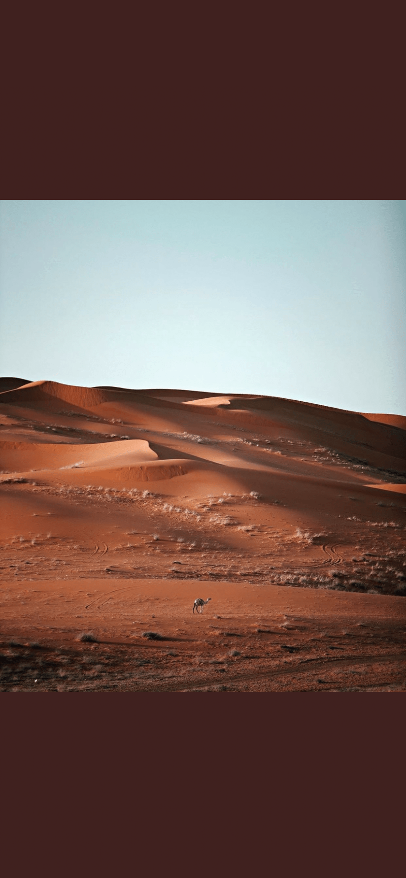 عبدالرحمن سليمان