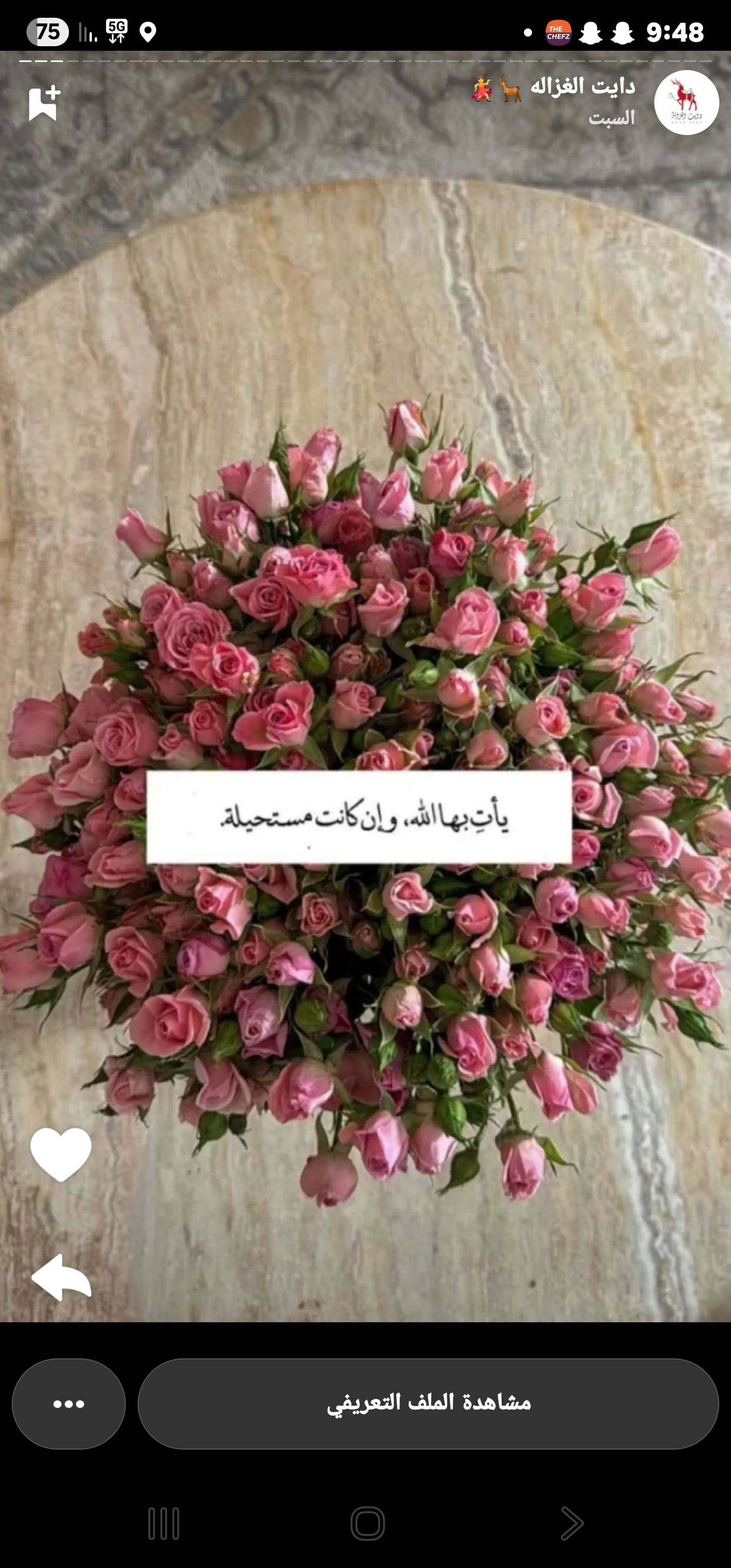 نوير العثمان