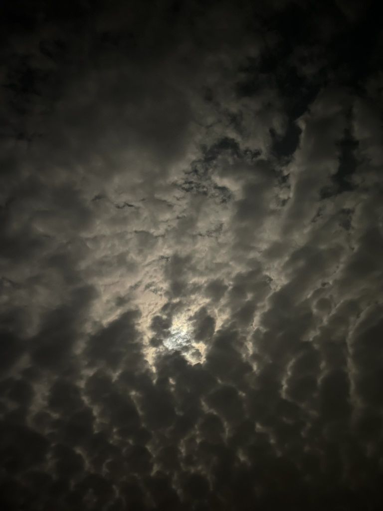حنان ح