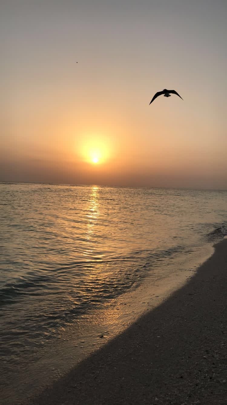 تركي الركابي