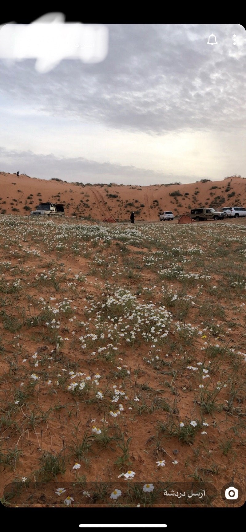 احمد العنزي