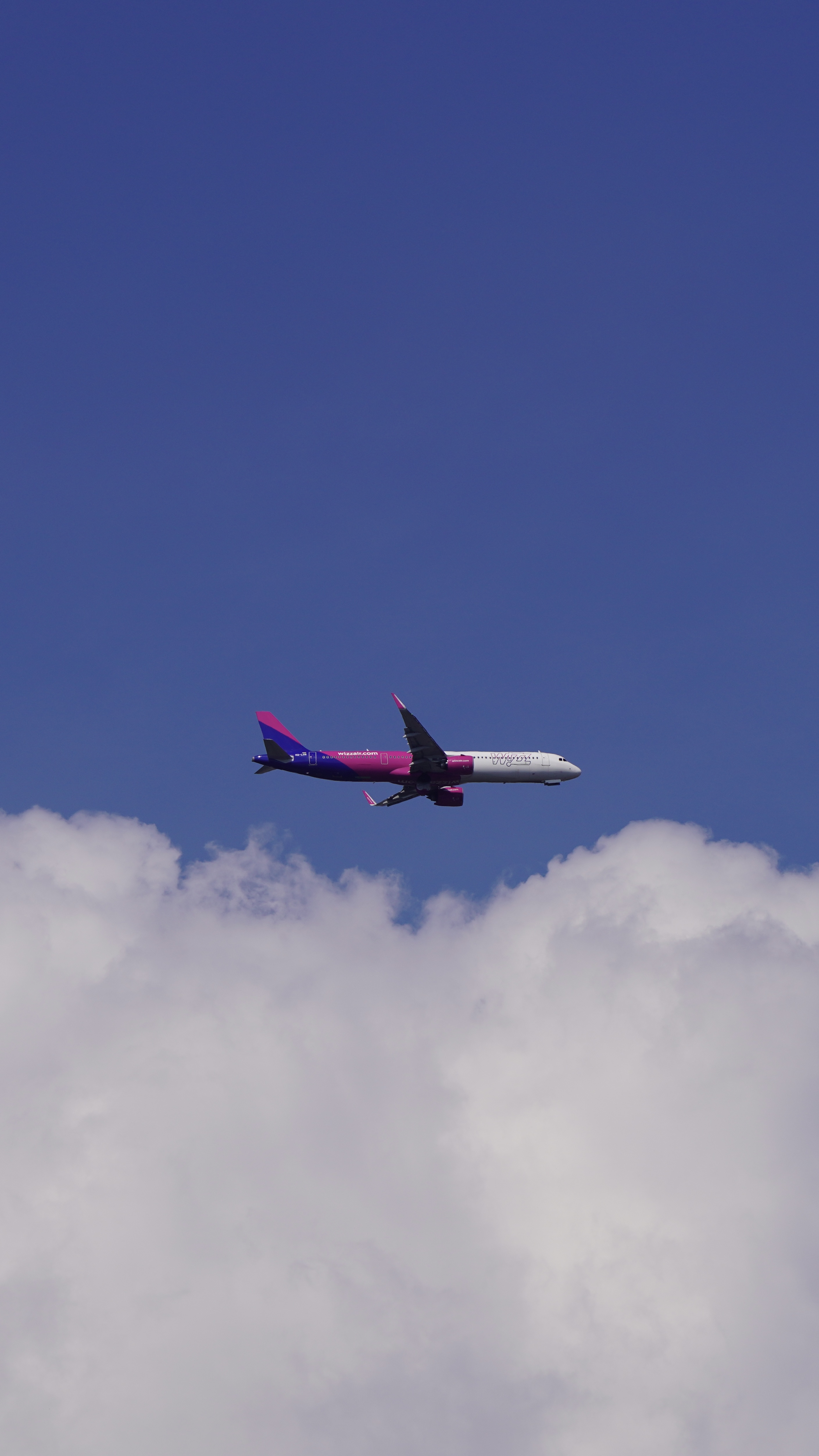 محمد محمد ز