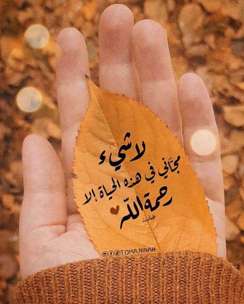 ناديه العتيبي