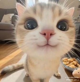 رحاب الحربي