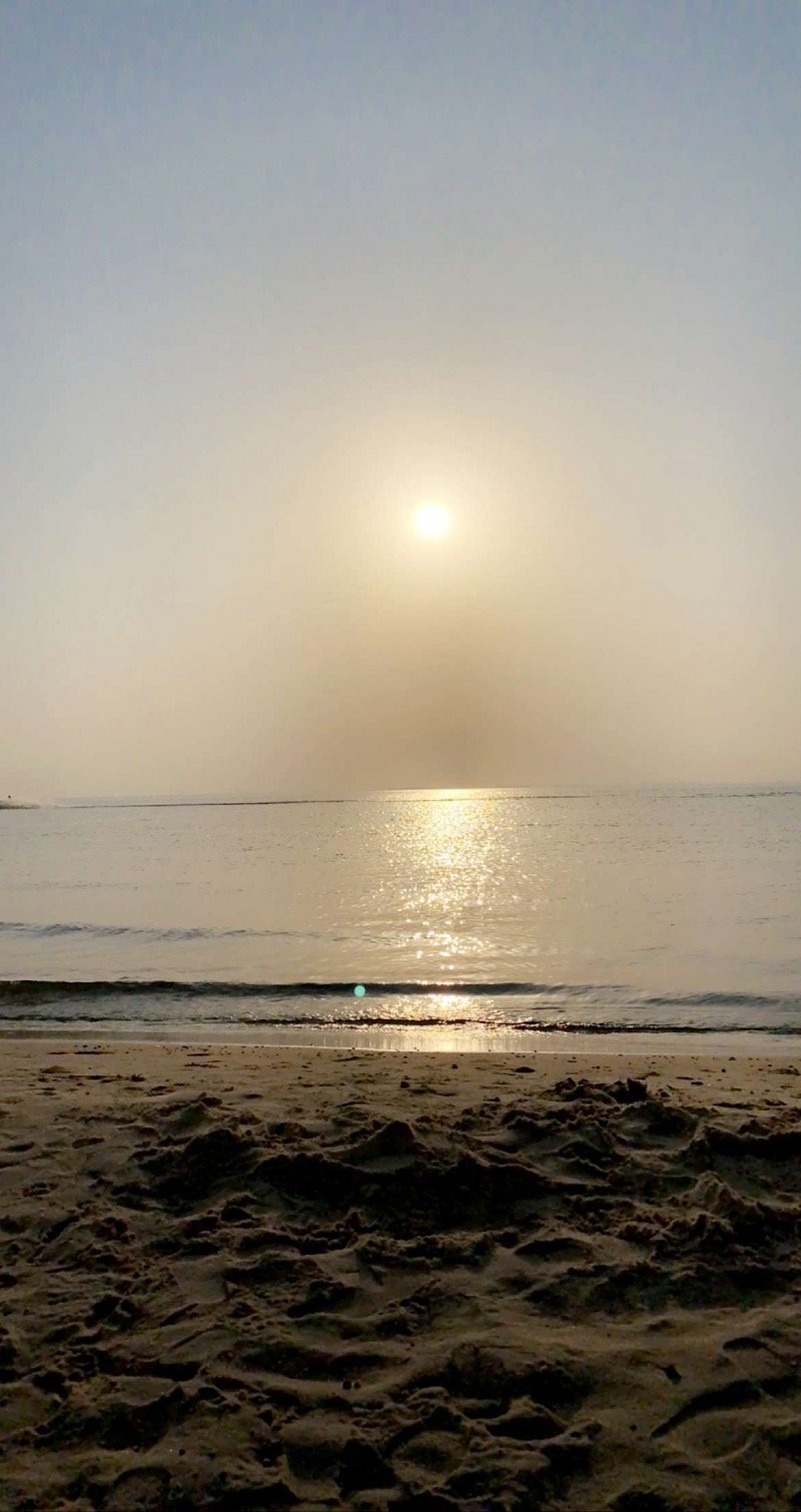 ناصر ال همام