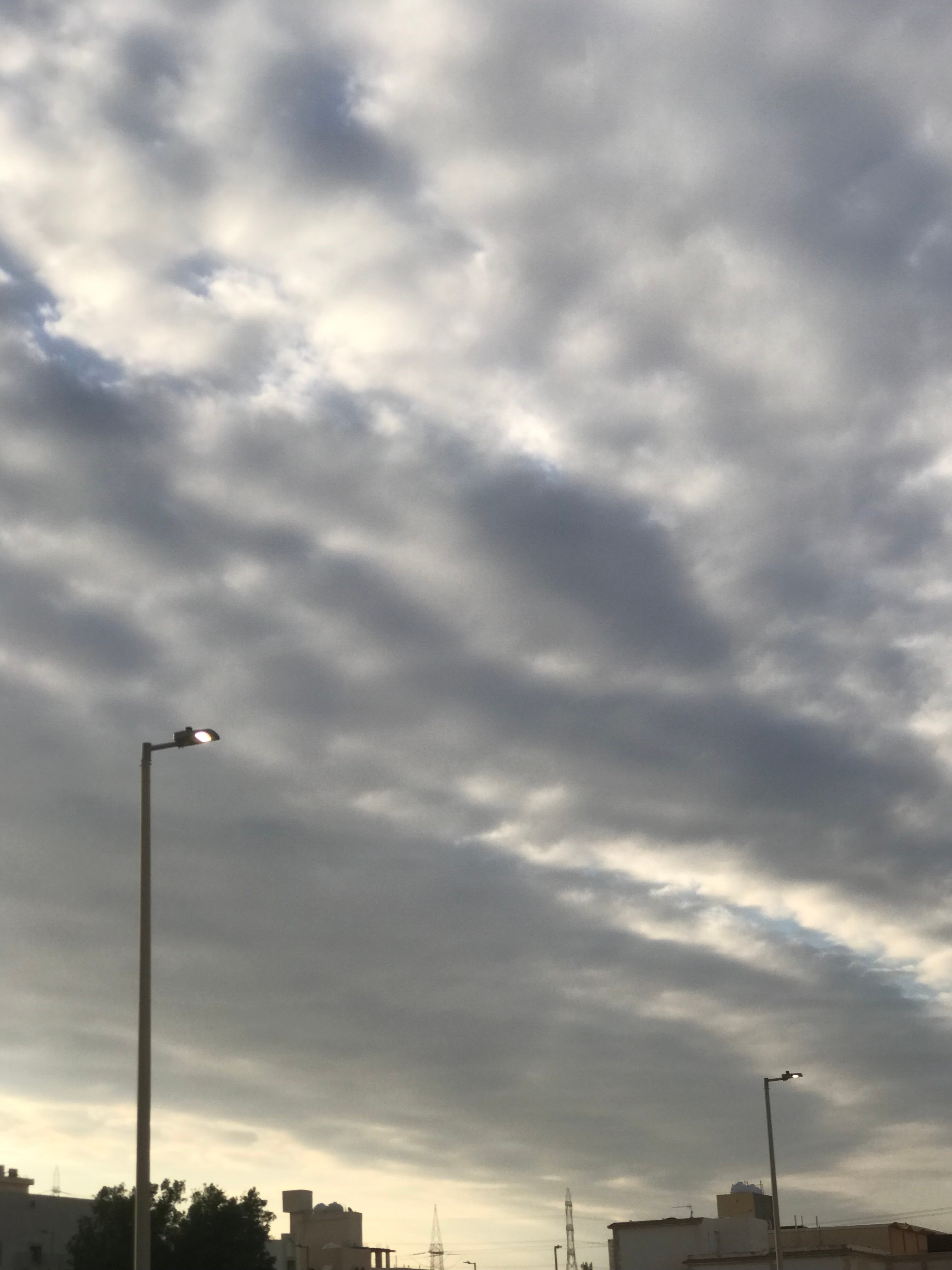 هديل الفضيل