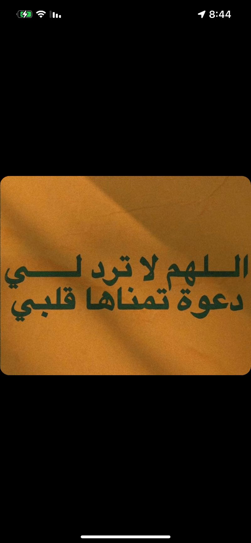 افراح محمد