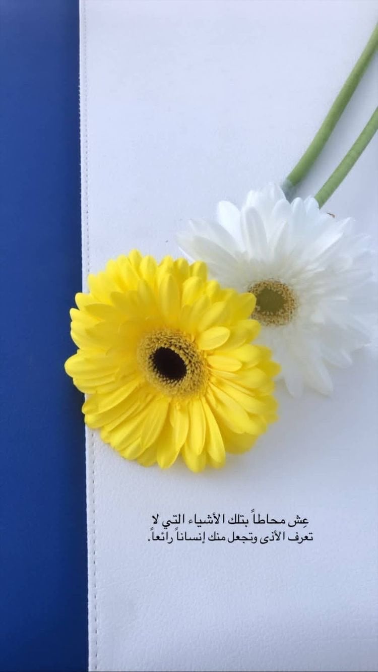 جميلة محمد