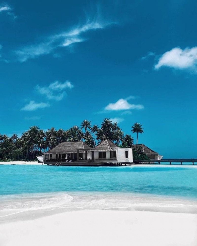 صباح العنزي