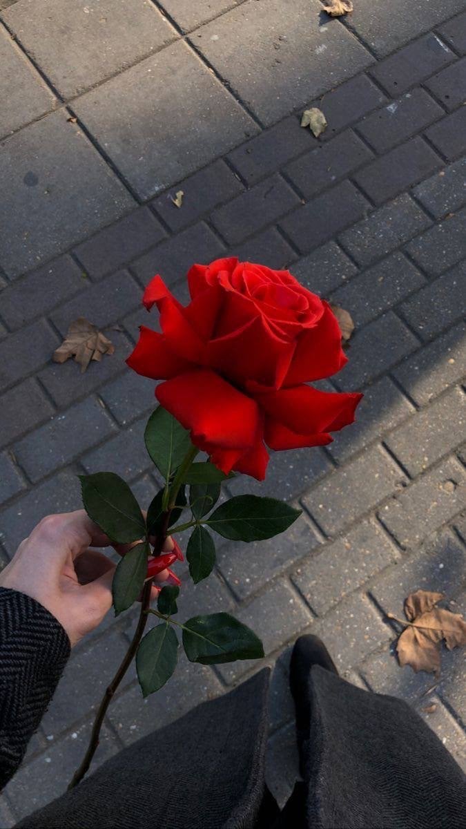 صيفه غزواني