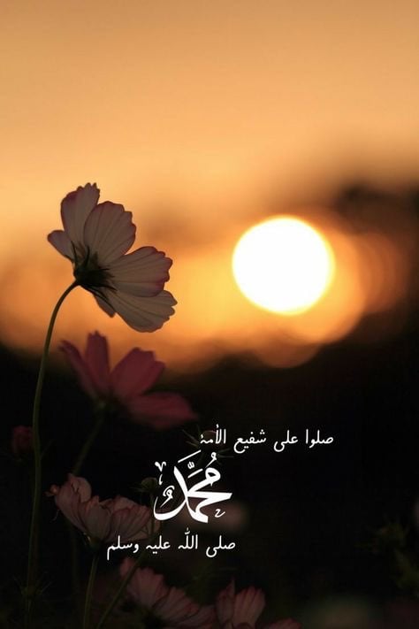 أسماء الهزازي