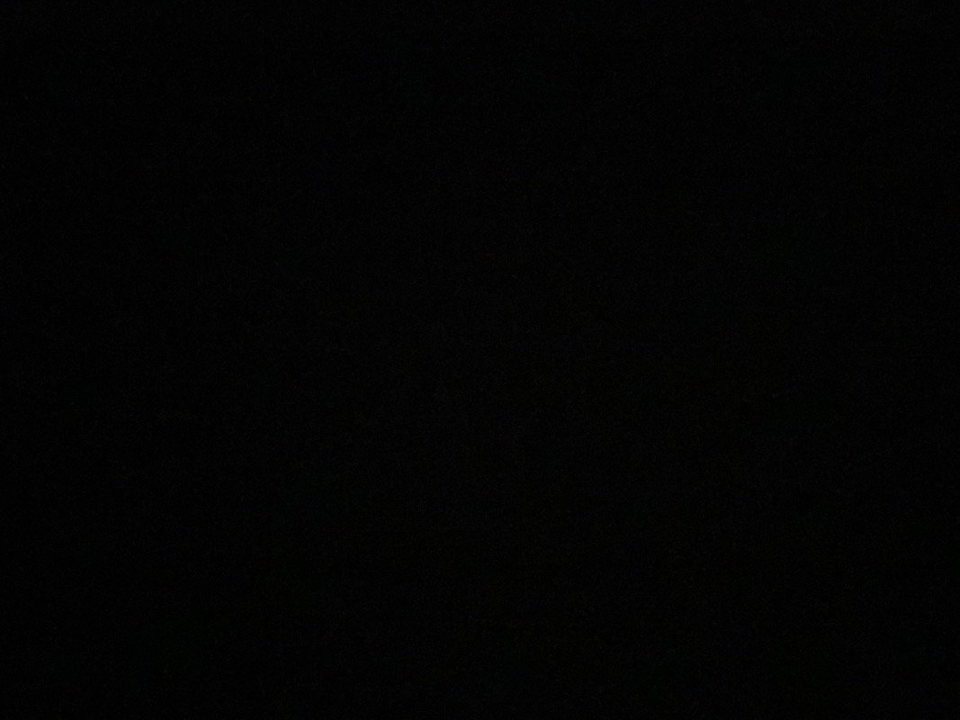 رهف العوفي