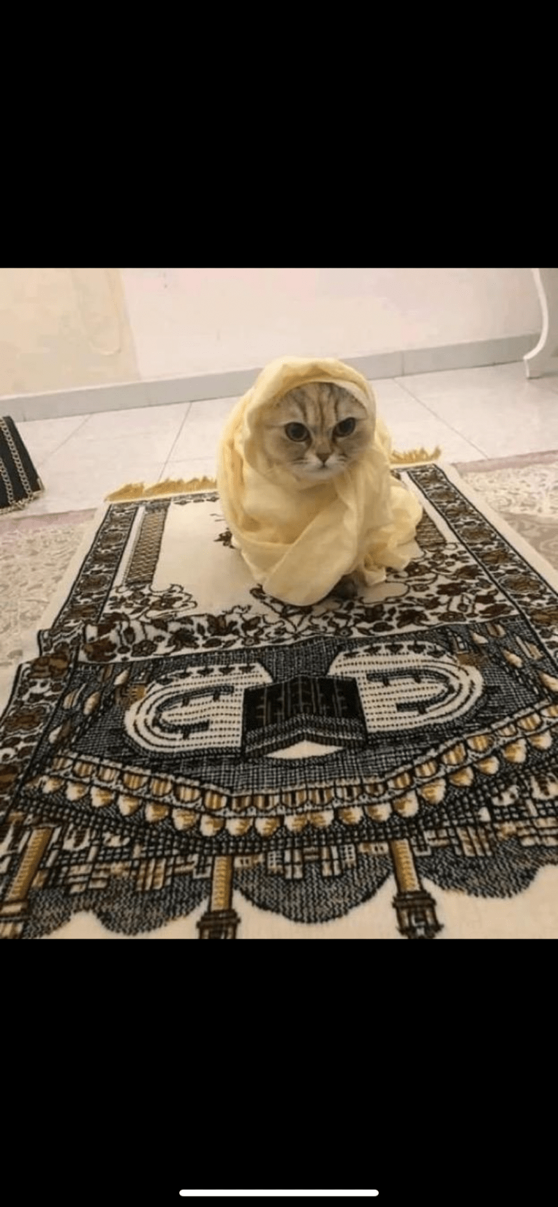 ريان البرناوي