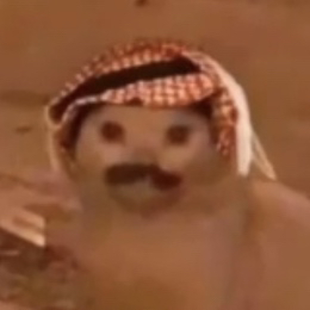 علي النجار