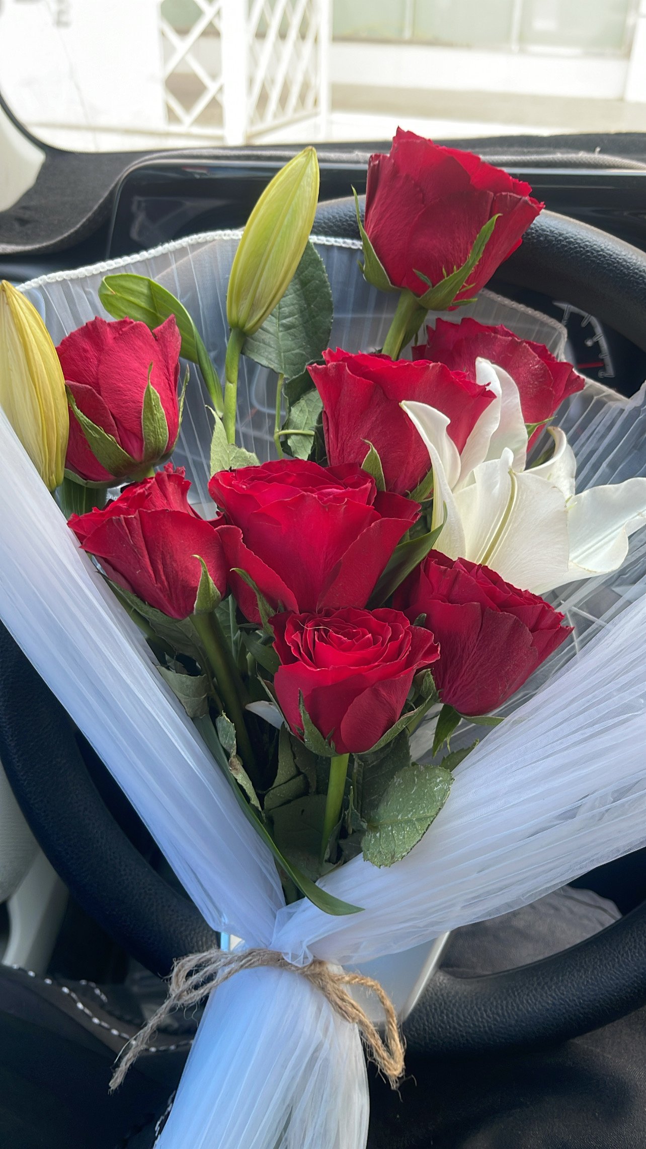 الشهري ميمي