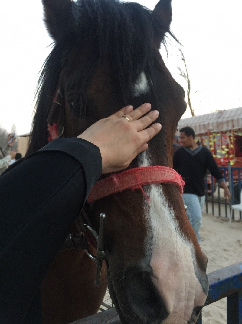 ضاري المالكي