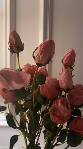 احلام الجنوبي