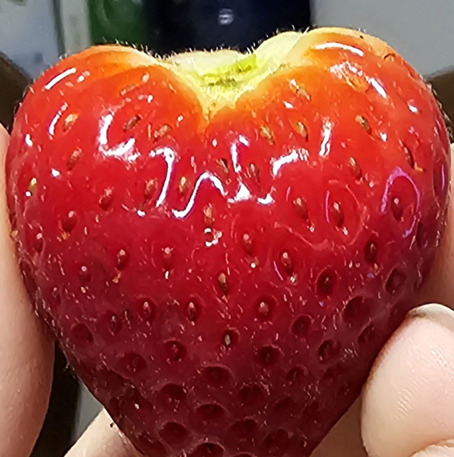 عمروعبدالاله بن حمد