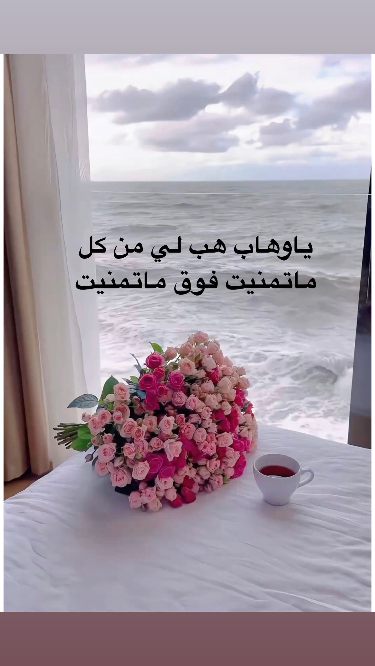 بناء الشمري