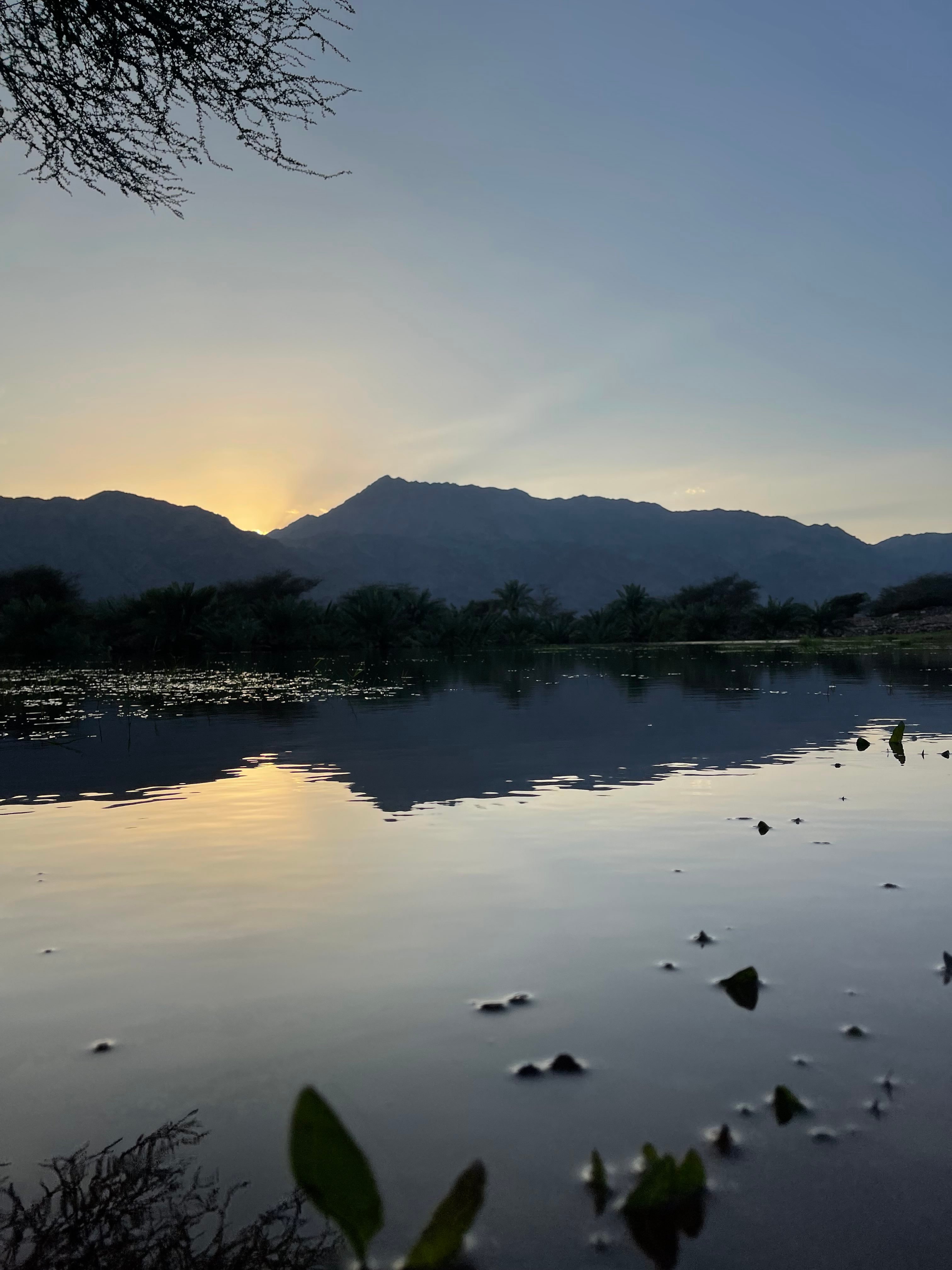 احمد الاحمدي