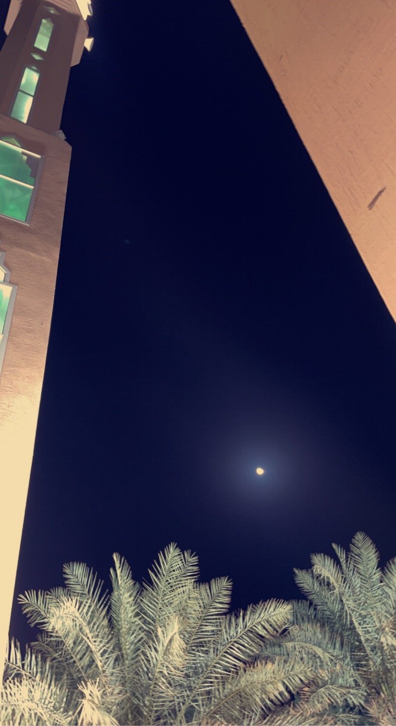 فاطمه الشهري