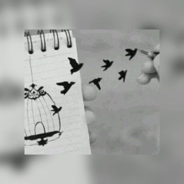 سلمى الدهمشي