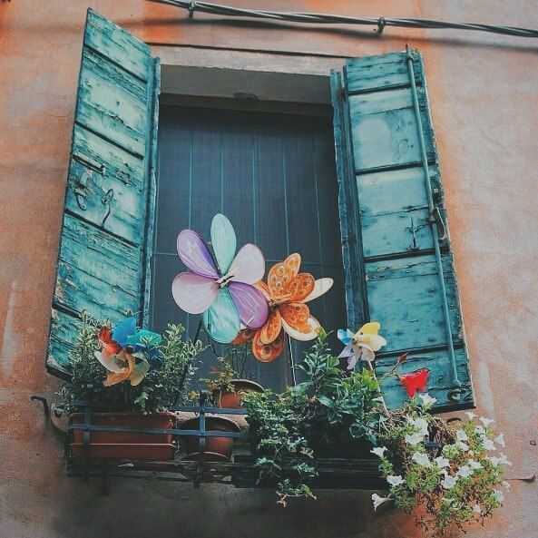 بسماء المطيري