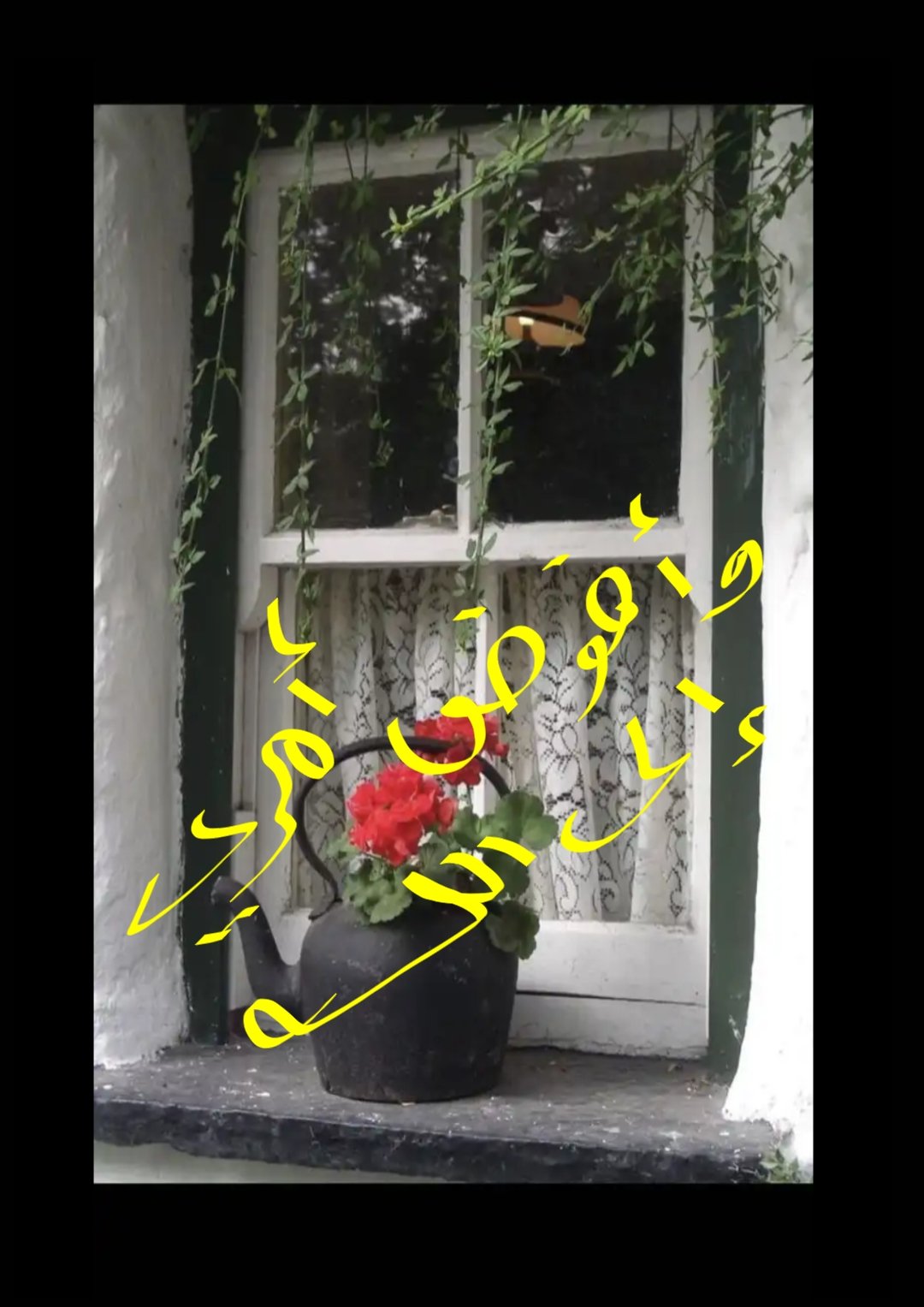 مريم عبدالمجيد
