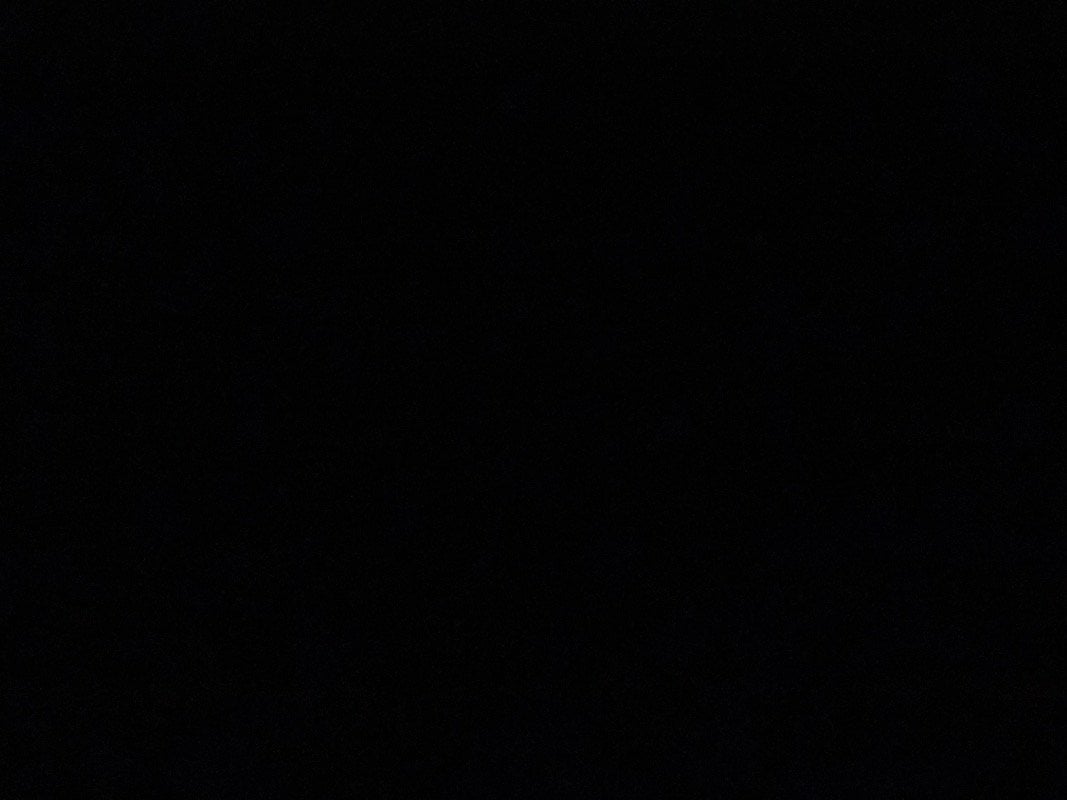بجاد الحربي و
