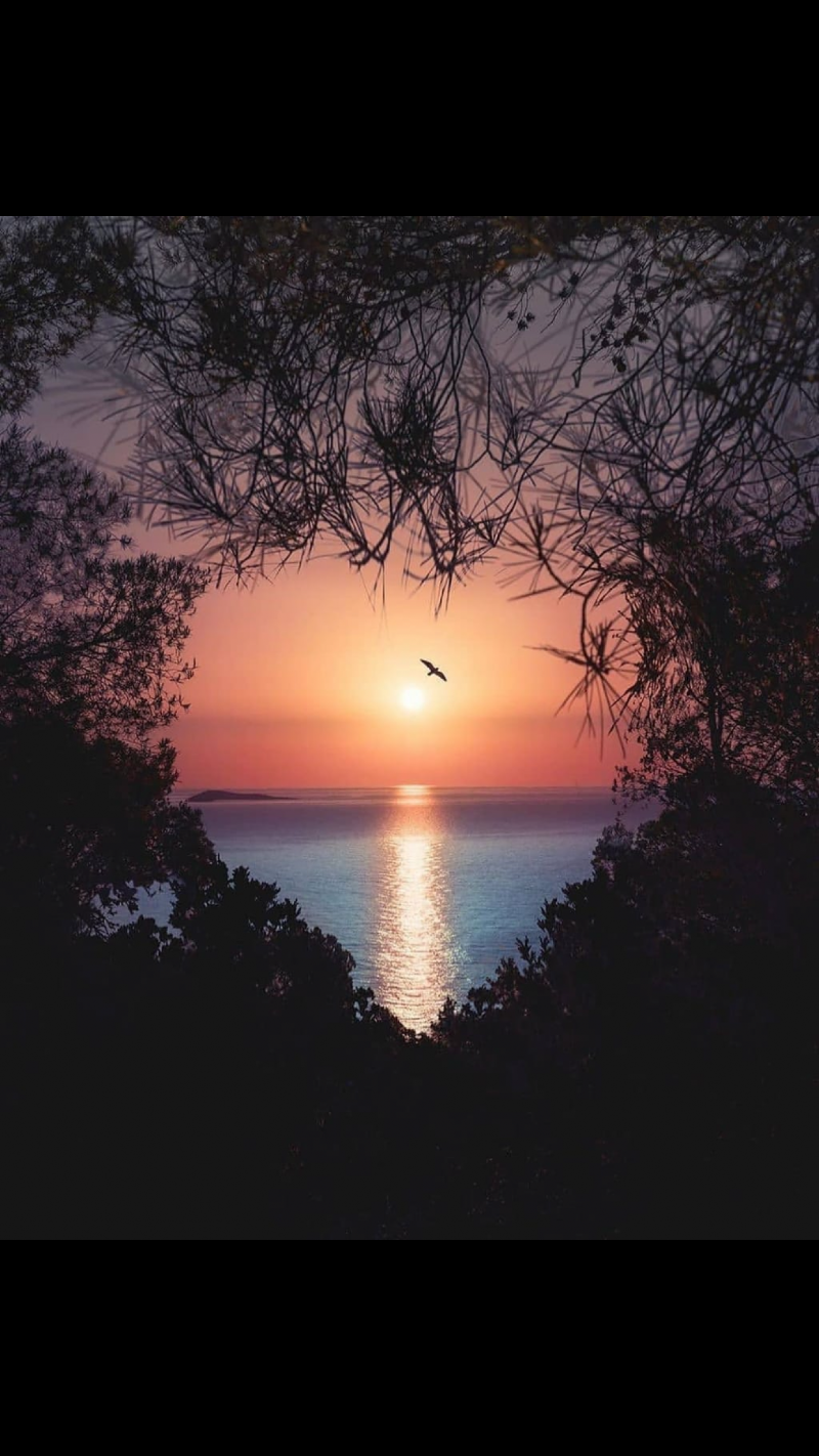 ابو كنان الشهري