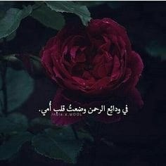 محسنه الحربي