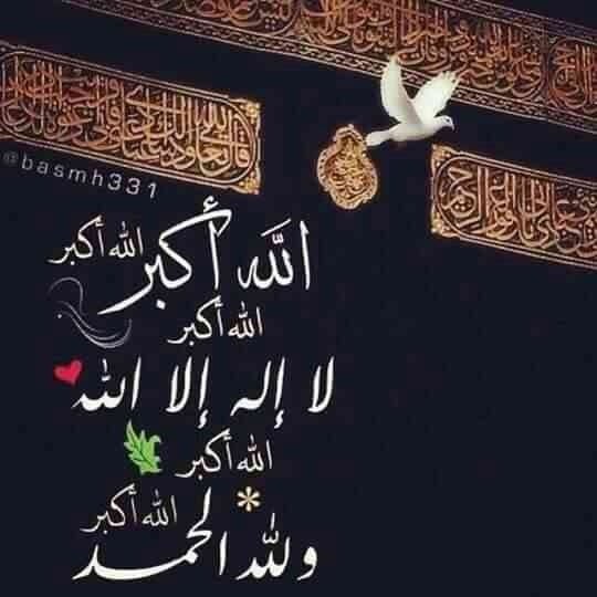 فاطمة المطيري