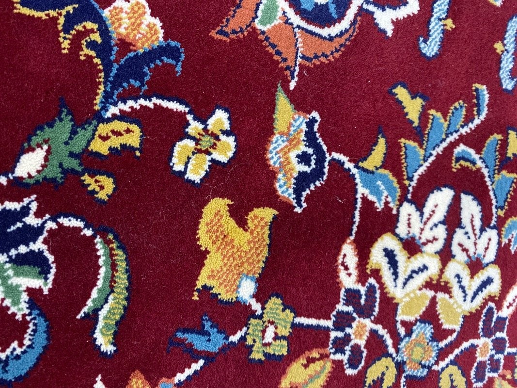 طالب مغفرة ربه ورحمته