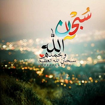 دلال حمود