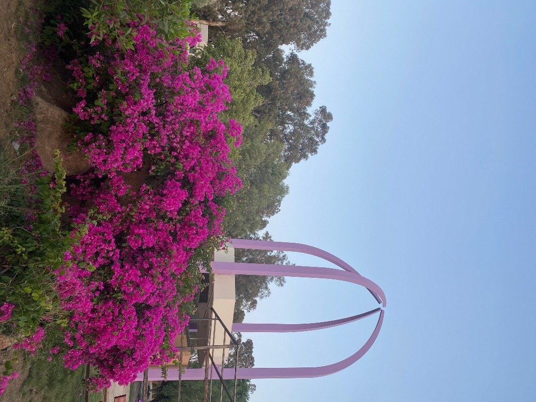 شموخ القحطاني