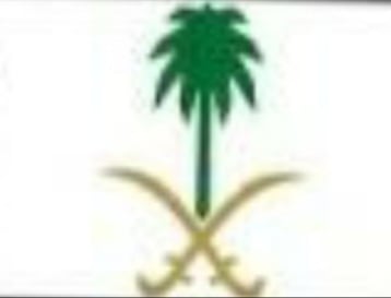 احمد العرجاني