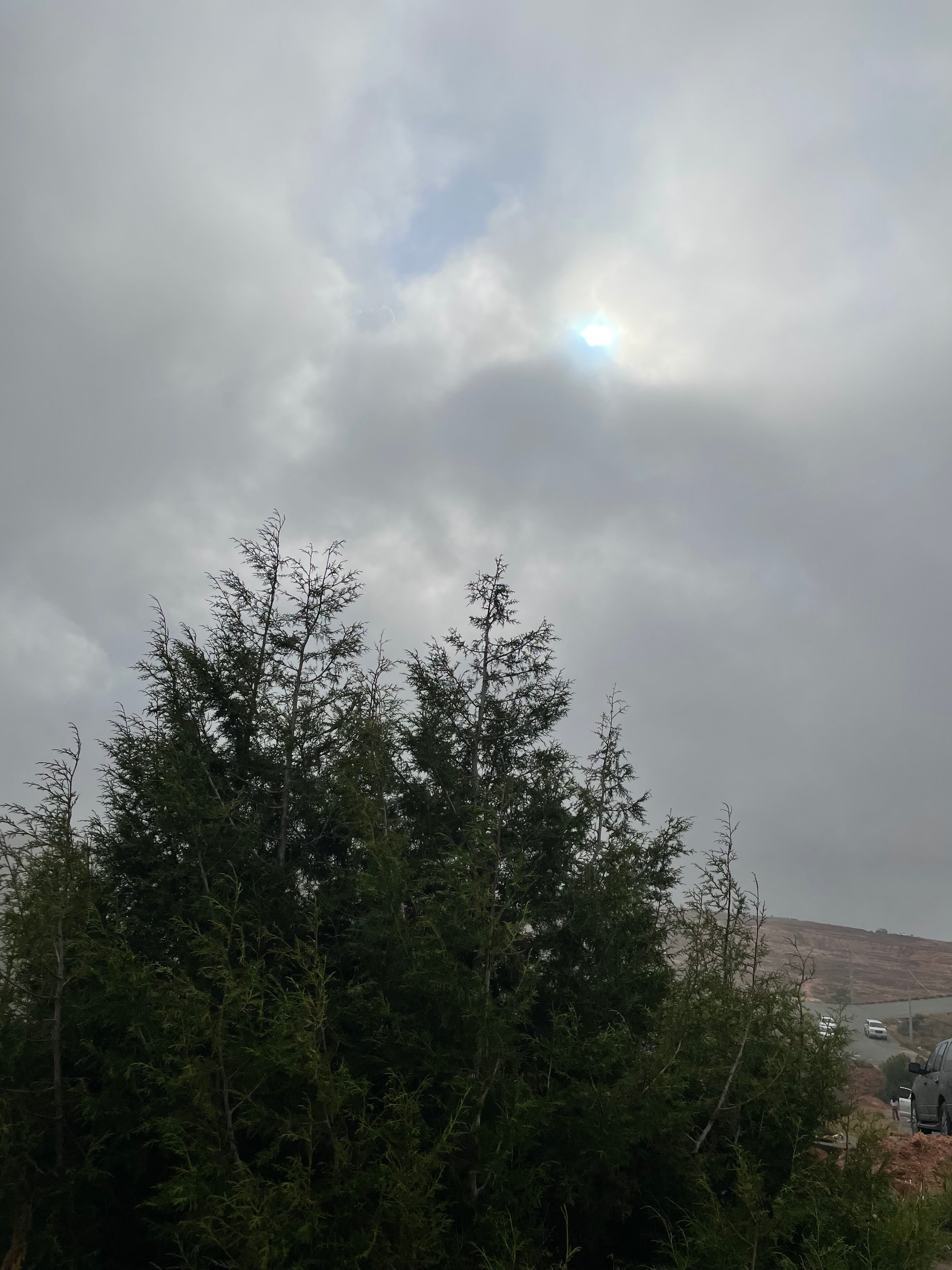 جوهرة القحطاني