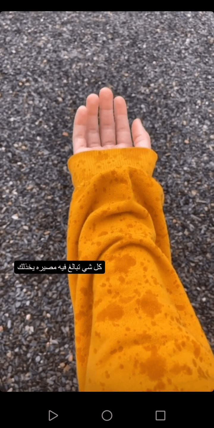 سلوى الحربي