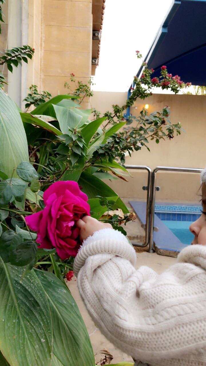 الجازي الهويملي