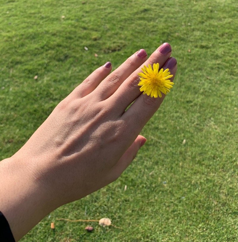 نعيمة البلوي