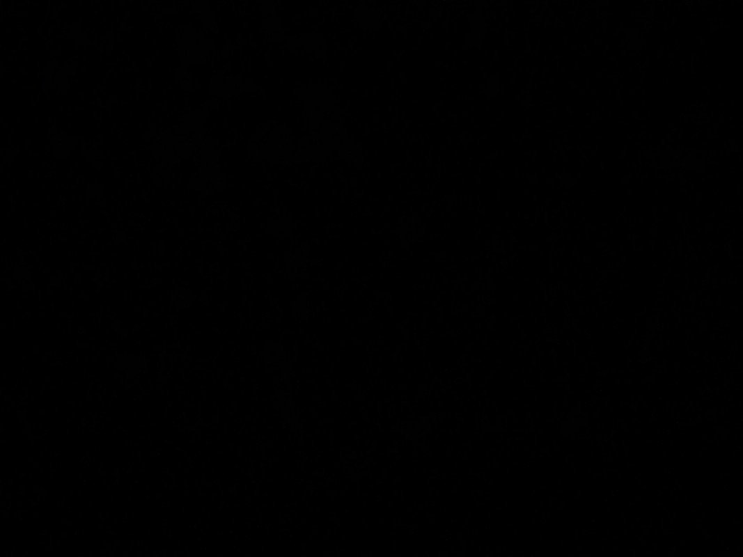 صالحه المنتشري