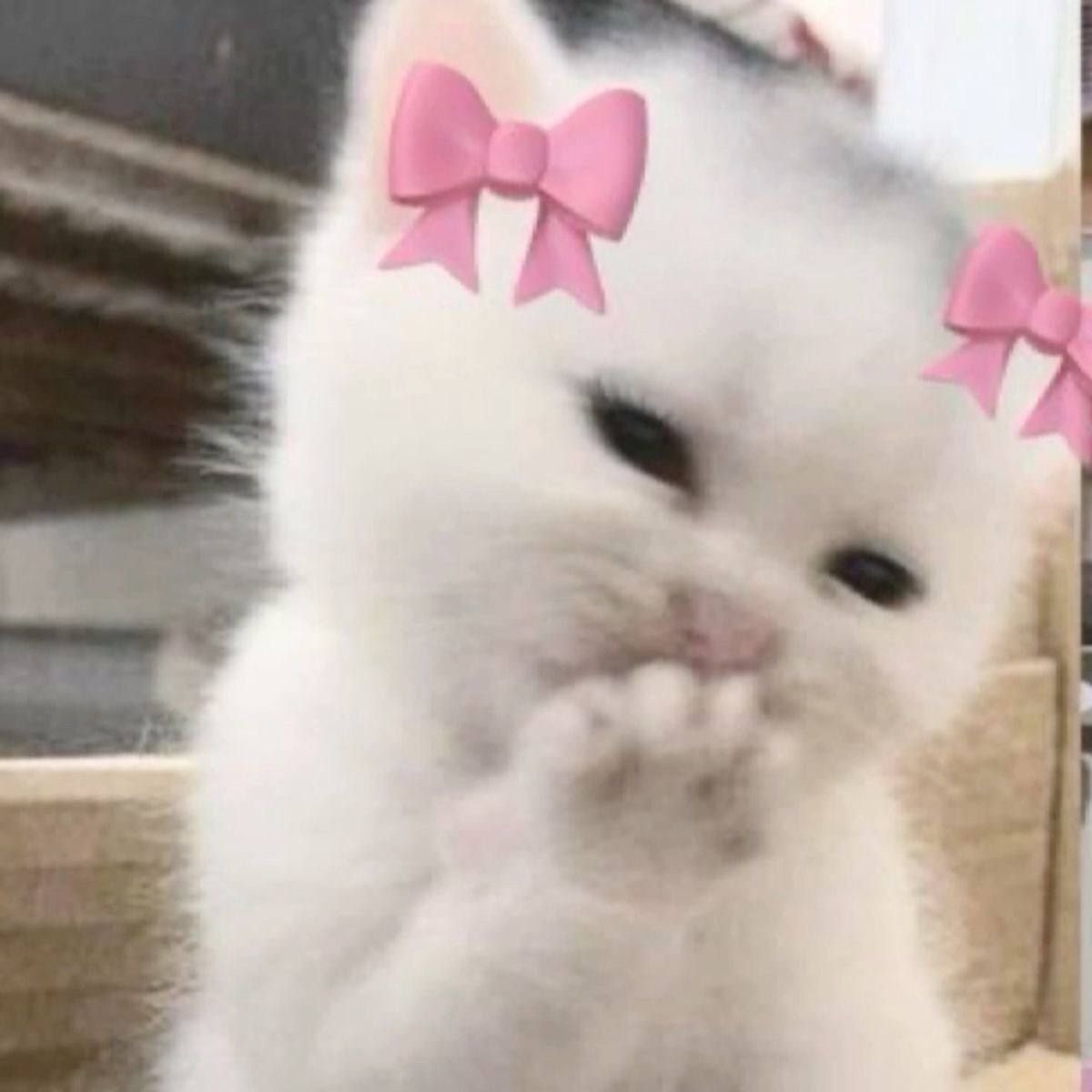 سحاب الشمري